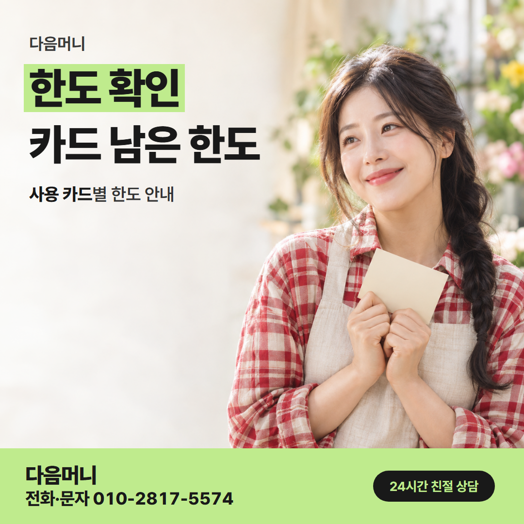 다음머니 홍천카드깡 같은 남은 한도로 비교하는 고객